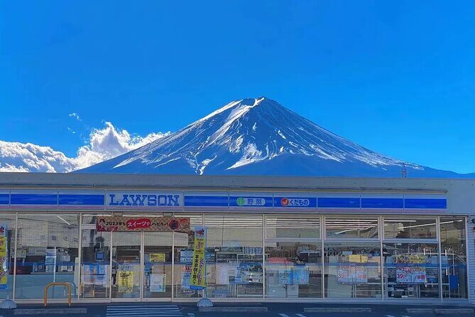 Mt. Fuji Panoramic Ropeway, Oshino Hakkai & Sightseeing Day Tour - Who Should Book This Tour?