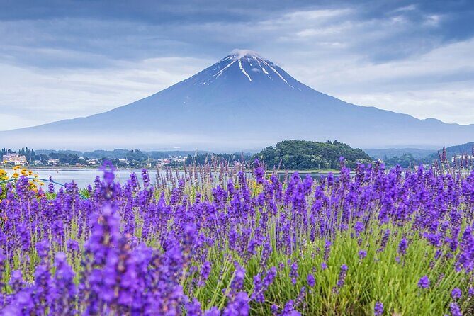 Mt Fuji Pilgrimage Full Day Tour with 7 Must See Scenic Spots - What Travelers Should Know  