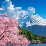 Mt. Fuji Private Customized Day Tour - What’s Included and What’s Not