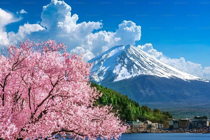 Mt. Fuji Private Customized Day Tour - What’s Included and What’s Not