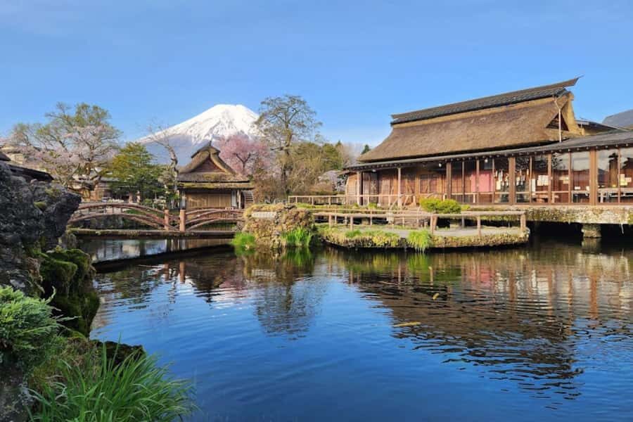 Mt. Fuji Private Day Tour: Luxury Car, Pagoda & Hidden Gems - The Itinerary in Detail