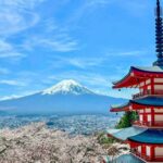 Mt. Fuji Private Tour: 8-Hour Bespoke Day from Your Hotel - Transportation & Practical Details