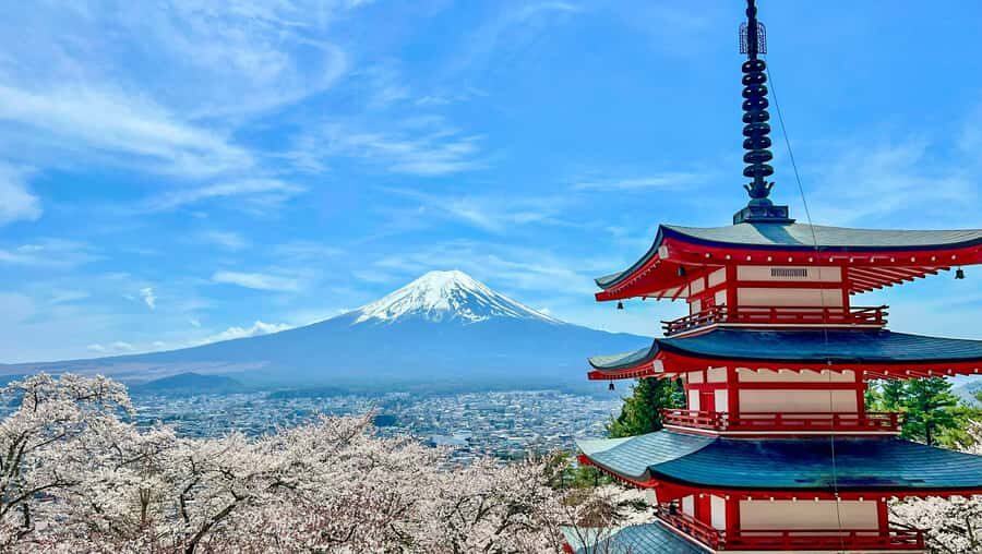 Mt. Fuji Private Tour: 8-Hour Bespoke Day from Your Hotel - Transportation & Practical Details