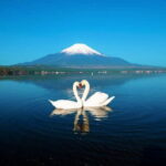 Mt Fuji Small Group 1 Day Tour Kawaguchi and Yamanaka with Pickup - An In-Depth Look at the Itinerary