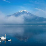 Mt Fuji Tour Customizable, fully Licenced Tour Operator - The Sum Up