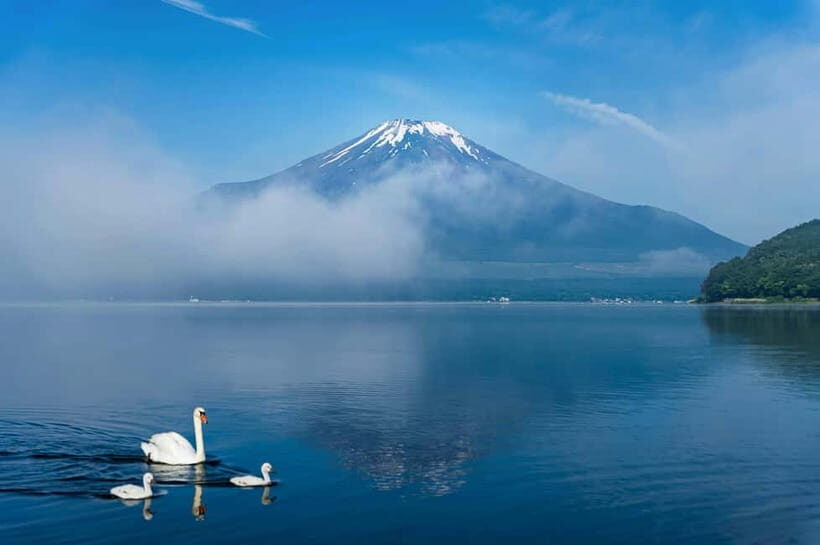 Mt Fuji Tour Customizable, fully Licenced Tour Operator - The Sum Up