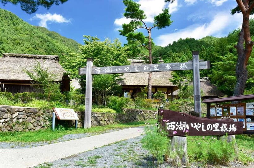 Mt Fuji Tour: Lake Kawaguchi, Shrine,Healing Village &Pagoda - The Practicalities: What You Need to Know