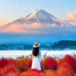 Mt. Fuji Tour: Lake Kawaguchiko Ropeway,Matcha,Oshino Hakkai - Additional Practical Details