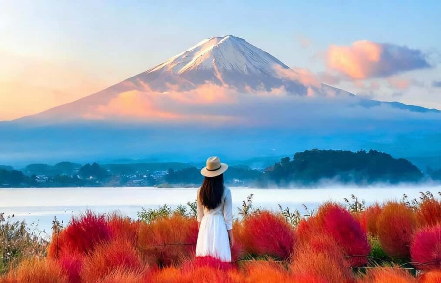 Mt. Fuji Tour: Lake Kawaguchiko Ropeway,Matcha,Oshino Hakkai - Additional Practical Details