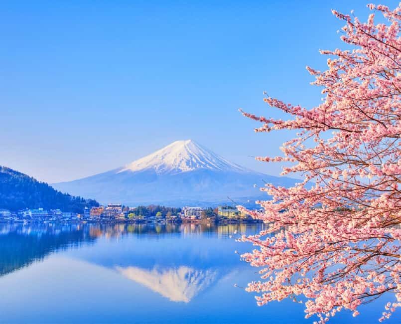 Mt. Fuji Tour: Lake Kawaguchiko Ropeway,Matcha,Oshino Hakkai - The Itinerary Detailed: What Each Stop Offers