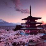 Mt Fuji Tour With Experienced English Driver - Who is This Tour Best For?