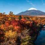 Mt Fuji Twin Lakes Maple Festival Night Lights Tour - What Travelers Can Expect