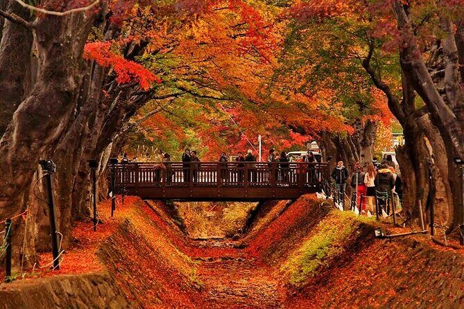 Mt. Fuji Views and Kawaguchiko Scenic Day Tour From Tokyo - Hikawa Clock Shop: Quirky Cultural Charm