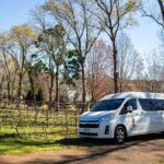 Mt Tamborine Shuttle Service - Gold Coast Return Transfer - Authentic Experiences and Highlights