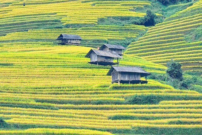 Mu Cang Chai Full Day Trekking Tour - Authentic Experiences and What Reviewers Say
