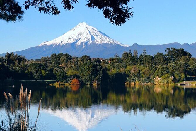 Multi Day Tour to New Plymouth and Taranaki Region from Hamilton - Authentic Experiences We Noticed from Reviews