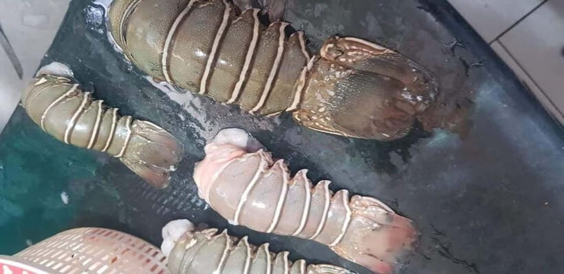 Mumbai Coastal Cooking: From Fishing Net to Flavourful Plate - An In-Depth Look at the Tour Experience