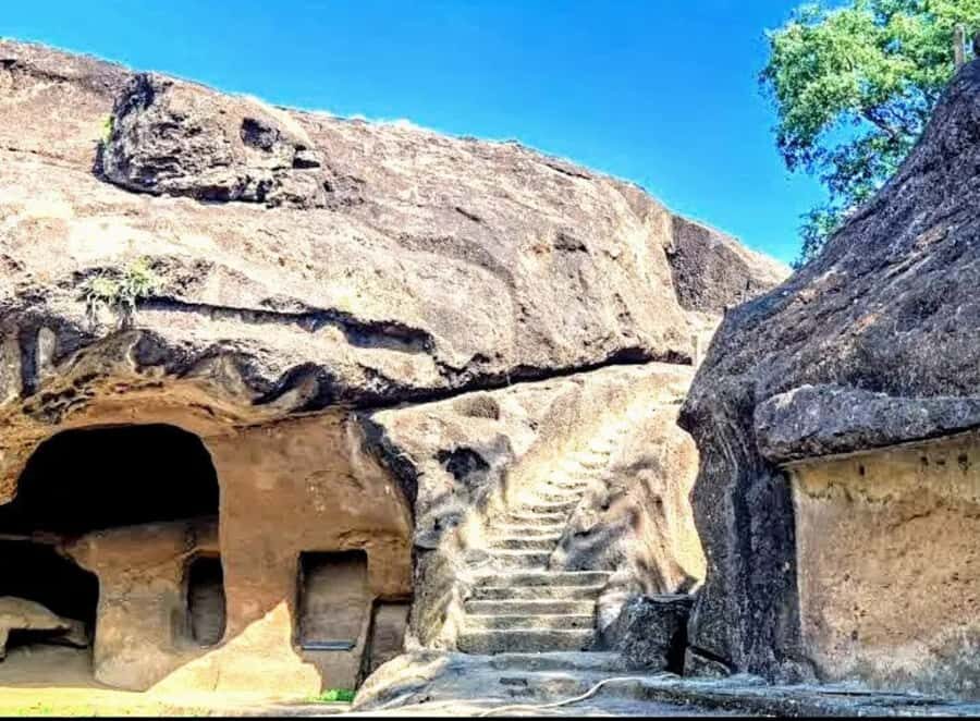 Mumbai: Half-Day Sightseeing Tour with Hotel Pickup - What You’ll Get for Your Money