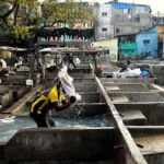 Mumbai Morning Tour Train Ride, Market & Hidden Local Spots - Final Thoughts