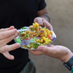 Mumbai Street Food & Temple Tour: Hidden Markets & Night Bazaar - What Makes This Tour Stand Out