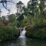 Munduk: Banyumala Twin Waterfall Jungle Trek, Swim & Lunch - Cultural and Culinary Highlights