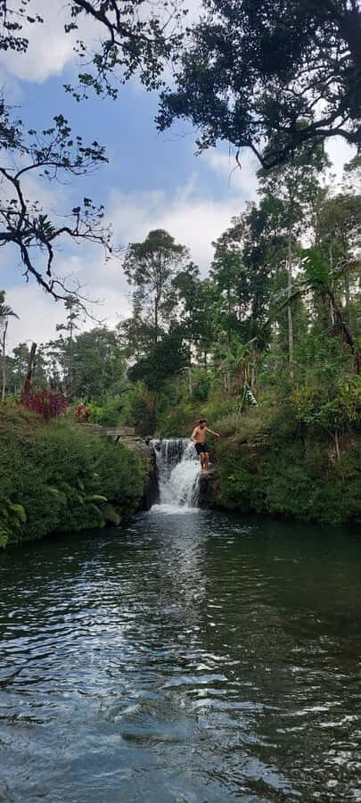 Munduk: Banyumala Twin Waterfall Jungle Trek, Swim & Lunch - Cultural and Culinary Highlights
