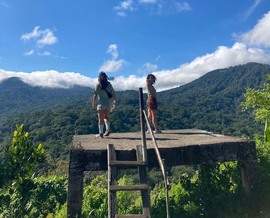 Munduk Highlights: Stunning North Bali Waterfalls & Temple - The Experience of the Drive and Guide