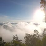 Munduk: Mount Shangyang Trek with Local Guide - Exploring the Mount Shangyang Trek