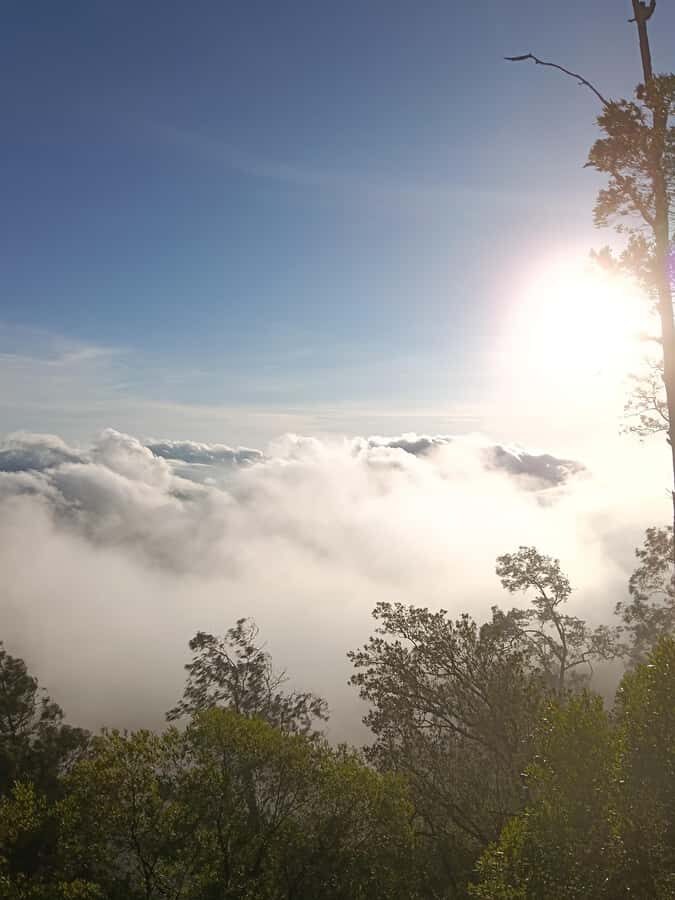 Munduk: Mount Shangyang Trek with Local Guide - Exploring the Mount Shangyang Trek
