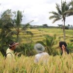 Munduk Private Customized Highlights Tour - Final Thoughts