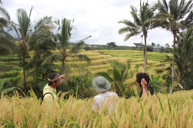 Munduk Private Customized Highlights Tour - Final Thoughts