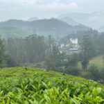 Munnar: Chokramudi Peak Full-Day Trekking Tour - Exploring the Itinerary in Detail
