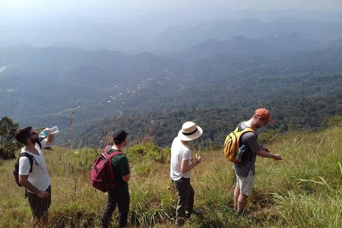 Munnar historical trail- (walk into Tea garden, village & market) - In-Depth Review of the Munnar Historical Trail