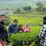 Munnar: Kolukkumalai Tea Plantation Jeep Tour - Good To Know