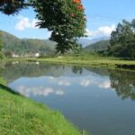 Munnar Letchmi Hills village Tour - Exploring the Munnar Letchmi Hills Village Tour in Detail