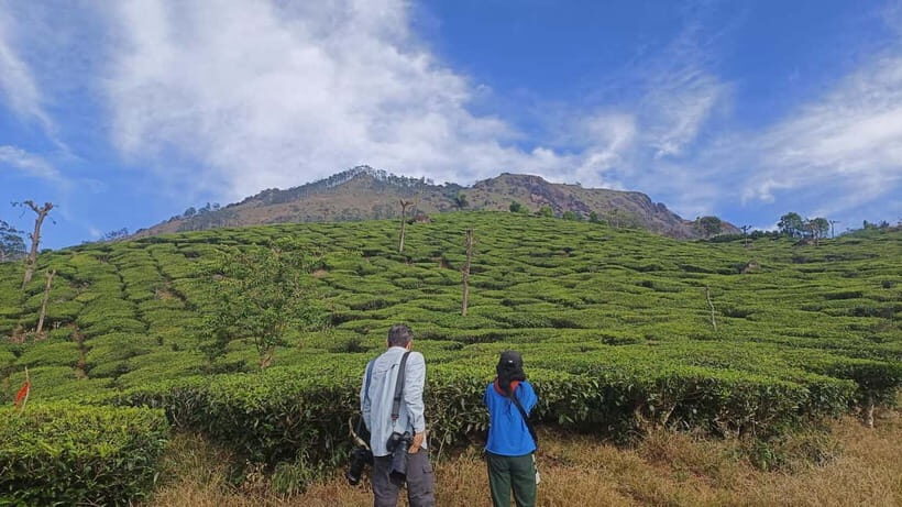 Munnar Nature Walk - What to Bring and Considerations