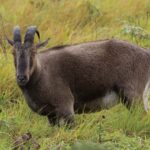 Munnar : Private One Day Tour from Kochi. Free Pickup-Drop - Who Will Find This Tour Worthwhile?