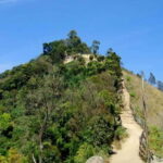 Munnar: Sunrise Trekking Adventure with Breakfast - What’s Included and Not