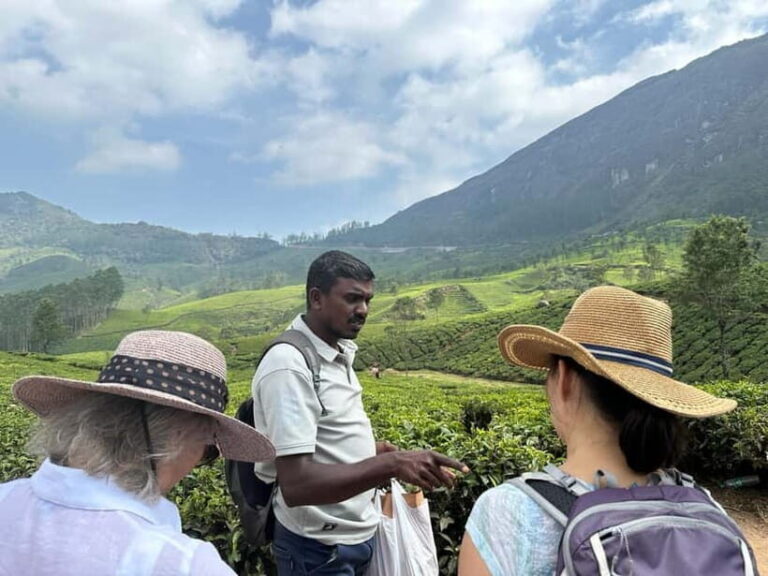Munnar: Tea trail, Tea Factory, and Tea Tasting Tour - The Experience in Detail: Why It Matters