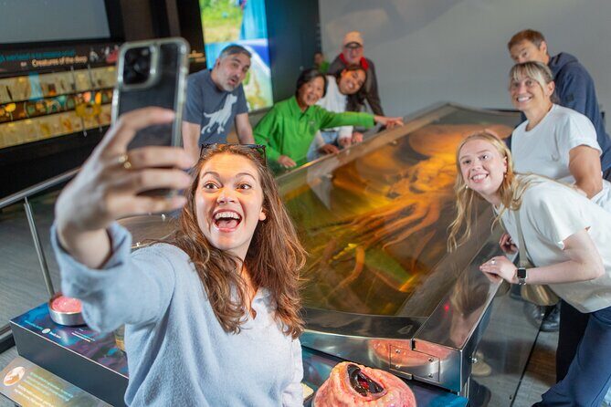 Museum of NZ Te Papa Tongarewa: International Visitor Entry - What is the Museum of NZ Te Papa Tongarewa?
