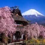 Muslim Friendly Mt. Fuji Tour with Halal Lunch and Prayer Time - The Itinerary in Detail: What to Expect