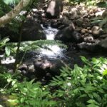 Must-Do : Nature, Culture & Moments Uniques  MirimirI Tours - Who Would Love This Tour