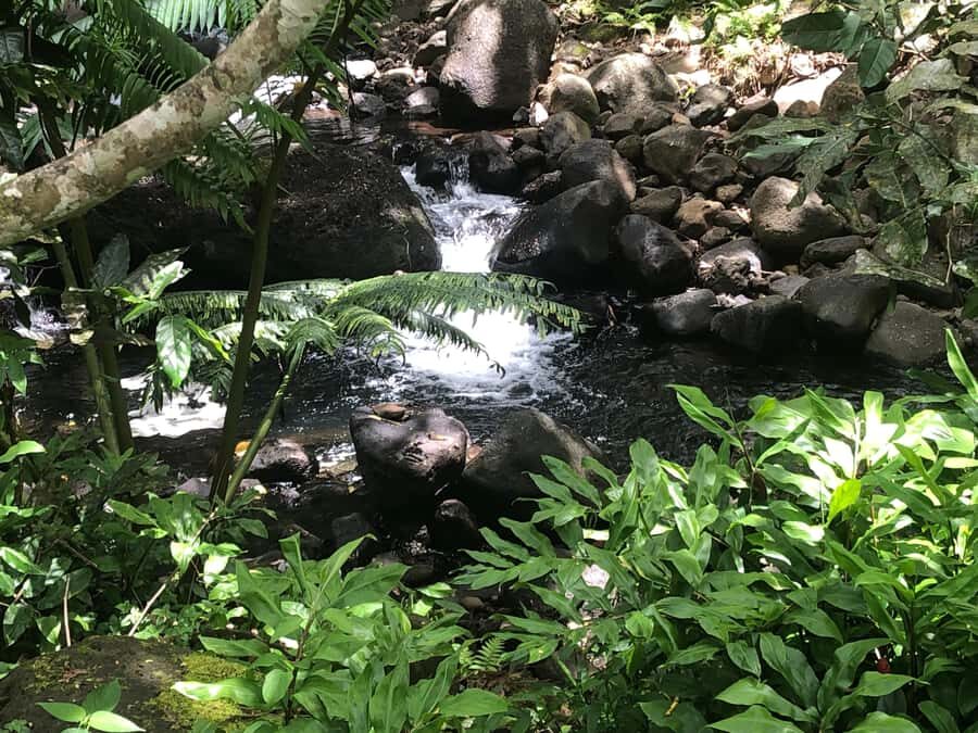 Must-Do : Nature, Culture & Moments Uniques  MirimirI Tours - Who Would Love This Tour