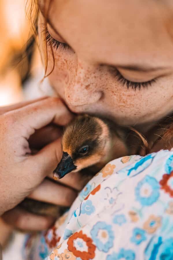 Mutchilba: Farm Animal Feeding - Who Will Enjoy This Tour Most?