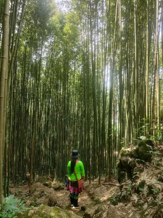 My Grandmothers Hidden Trail: A 1-Day Trek in Sapa - Key Points to Remember