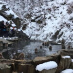 Myoko and Madarao Day Tour Snow Monkeys, Zenkoji and Sake - Final Thoughts