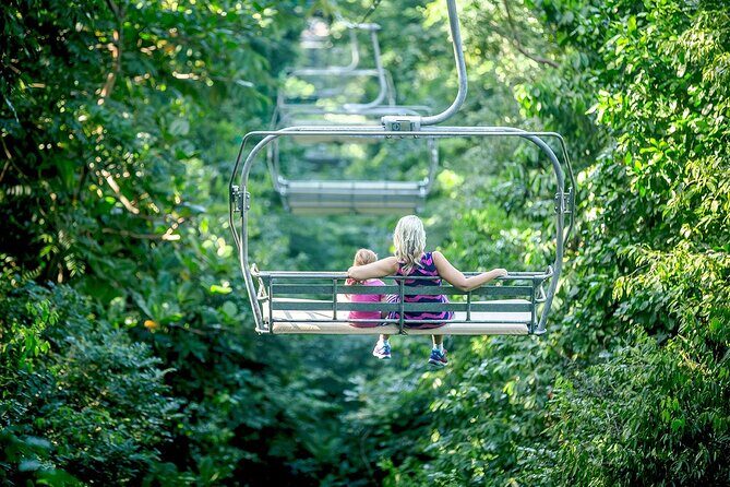 Mystic Mountain Zipline with Bobsled & Raggamuffin - Practical Details and What to Expect