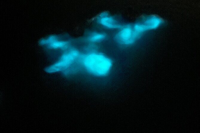 Mystic Waters A Bioluminescent Night Tour - Why This Tour Is Worth It