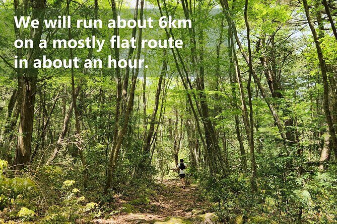 Mystical Fuji Forest Guide Running Trip (Shoe Rental Included) - What’s Included and What to Consider