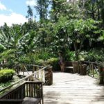 NADI: Exquisite Orchid Garden Tour with Hotspring & Mudpool - Exploring the Garden of the Sleeping Giant